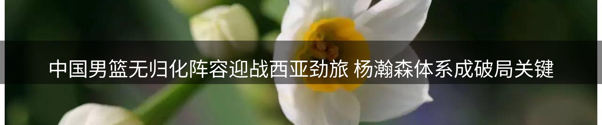 新闻资讯