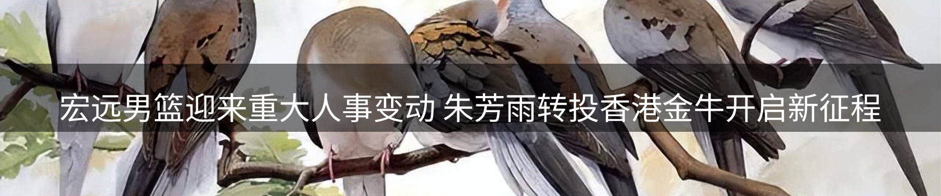 新闻资讯