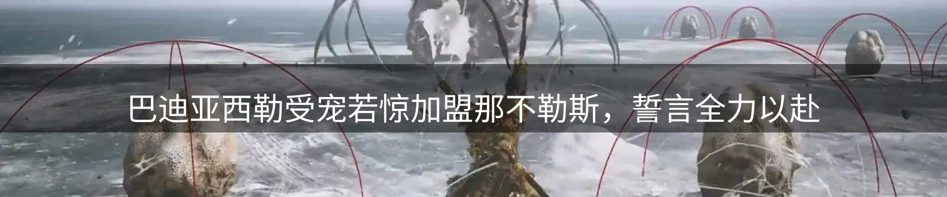 新闻资讯