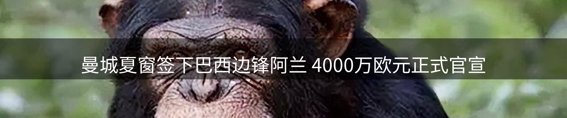 新闻资讯