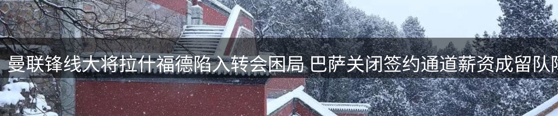 新闻资讯