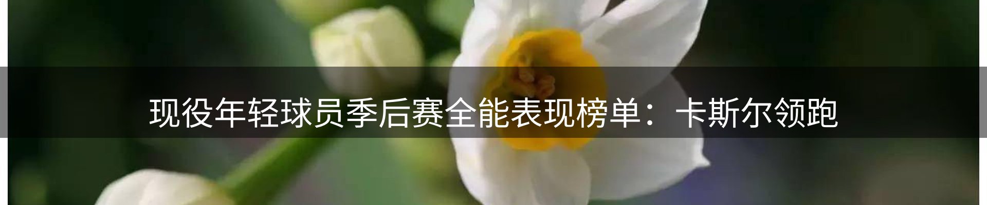 新闻资讯
