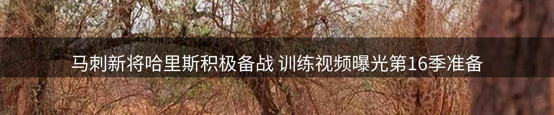 热点一览
