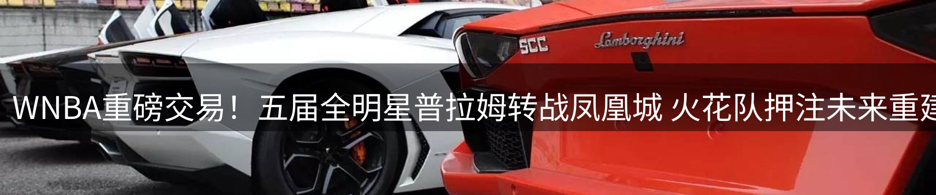 新闻资讯